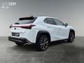 Lexus UX 250h F-Sport Line Sitzhzg*Navi*CarPlay*LED Weiß - thumbnail 6