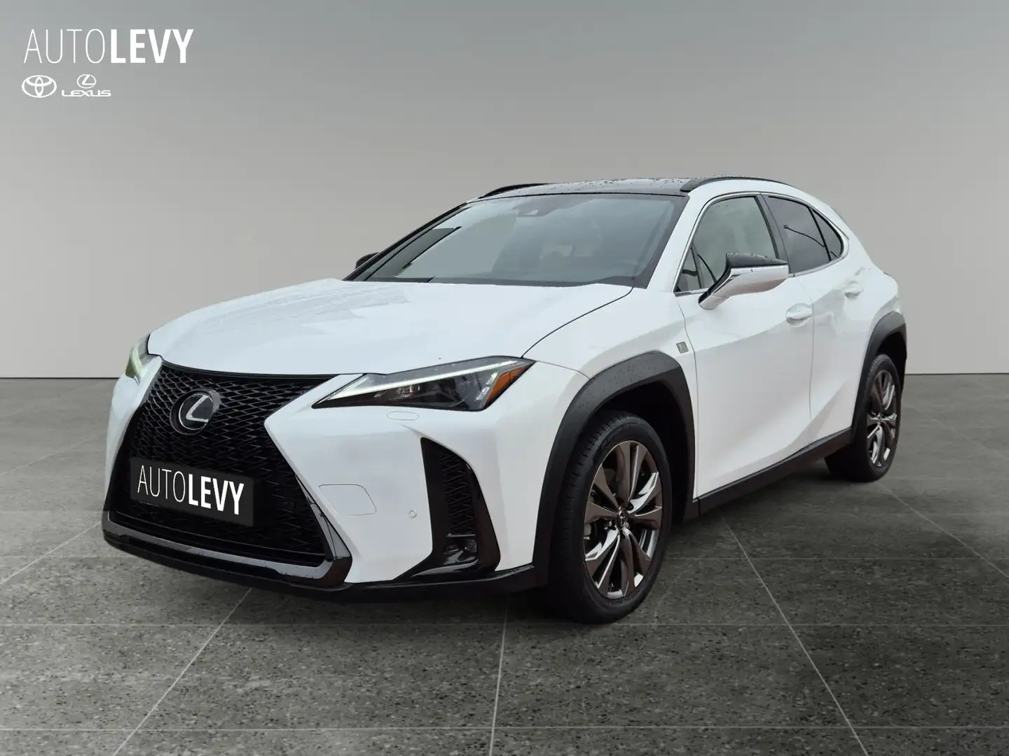 Lexus UX 250h F-Sport Line Sitzhzg*Navi*CarPlay*LED Weiß - 2