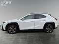 Lexus UX 250h F-Sport Line Sitzhzg*Navi*CarPlay*LED Weiß - thumbnail 3