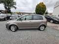 Volkswagen Golf Plus VI Match Braun - thumbnail 5