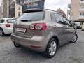 Volkswagen Golf Plus VI Match Braun - thumbnail 8