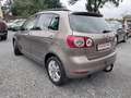 Volkswagen Golf Plus VI Match Braun - thumbnail 4