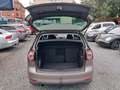 Volkswagen Golf Plus VI Match Braun - thumbnail 16
