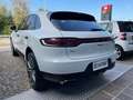 Porsche Macan Macan 2.0 245cv pdk Weiß - thumbnail 12