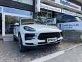 Porsche Macan Macan 2.0 245cv pdk Weiß - thumbnail 4