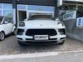 Porsche Macan Macan 2.0 245cv pdk Weiß - thumbnail 5