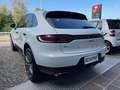 Porsche Macan Macan 2.0 245cv pdk Weiß - thumbnail 11