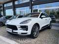 Porsche Macan Macan 2.0 245cv pdk Weiß - thumbnail 6
