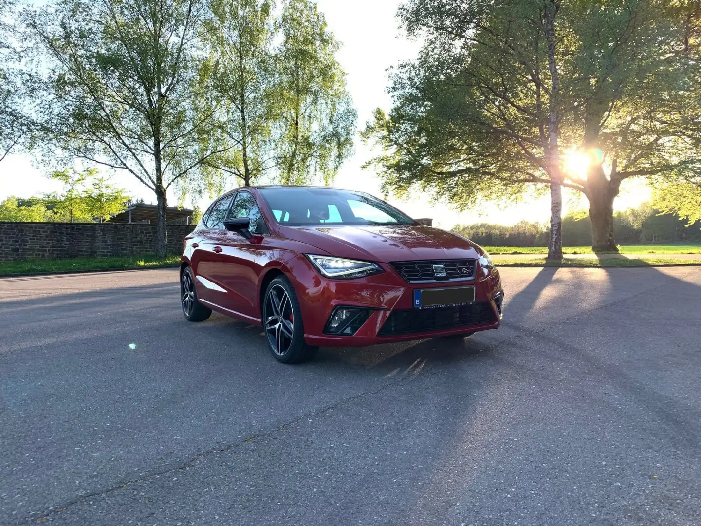 SEAT Ibiza 1.0 TSI FR Rouge - 2
