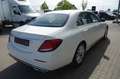 Mercedes-Benz E 220 d Limousine AVANTGARDE LED/KAM/TOTWIN/17" Weiß - thumbnail 6