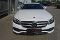 Mercedes-Benz E 220 d Limousine AVANTGARDE LED/KAM/TOTWIN/17" Bílá - thumbnail 15