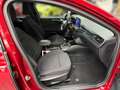 Ford Focus 1.5 EcoBoost  ST-LINE *NAVI*RFK*ACC*LMR18* Rot - thumbnail 19