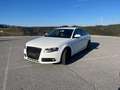 Audi A4 B8 Biały - thumbnail 8