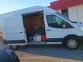 Ford Transit Bianco - thumbnail 1