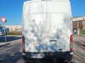 Ford Transit Bianco - thumbnail 7