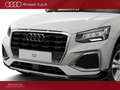 Audi Q2 30 1.0 tfsi business advanced 116cv Bianco - thumbnail 2