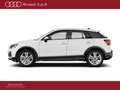Audi Q2 30 1.0 tfsi business advanced 116cv Bianco - thumbnail 8