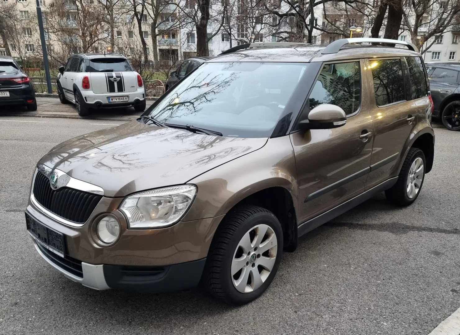 Skoda Yeti Yeti 4x4 Ambition 1.Besitz 2,0 TDI CR DPF Ambition Braun - 1