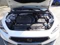 SEAT Leon 1.5 eTSI 150CV DSG FR Bianco - thumbnail 10