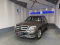 Mercedes-Benz GLK 220 GLK 220 CDI BlueEfficiency A- 4 Matic Edition Grau - thumbnail 1