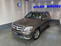 Mercedes-Benz GLK 220 GLK 220 CDI BlueEfficiency A- 4 Matic Edition Grau - thumbnail 2