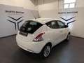 Lancia Ypsilon 1.2 69 CV 5 porte Gold Bianco - thumbnail 6