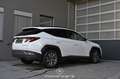 Hyundai TUCSON Tucson 1.6 CRDi Mild Hybrid Pickerl NEU Weiß - thumbnail 2