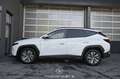 Hyundai TUCSON Tucson 1.6 CRDi Mild Hybrid Pickerl NEU Weiß - thumbnail 6