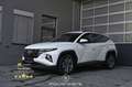 Hyundai TUCSON Tucson 1.6 CRDi Mild Hybrid Pickerl NEU Weiß - thumbnail 1