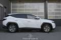 Hyundai TUCSON Tucson 1.6 CRDi Mild Hybrid Pickerl NEU Weiß - thumbnail 5