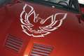 Pontiac Firebird TRANS AM Rouge - thumbnail 12