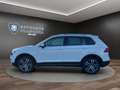 Volkswagen Tiguan 2.0 TSI DSG Highline 4Mot. NAVI*AHK*PANO Klima Weiß - thumbnail 8