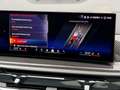 BMW X6 xDrive30d M-Sportpaket Pro Grau - thumbnail 31