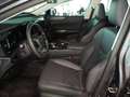 Lexus NX 450h+ 2,5l Plug-in, CVT Luxury Line Grau - thumbnail 12