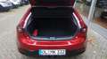Mazda 3 2.5L e-SKYACTIV G 140ps Rot - thumbnail 9