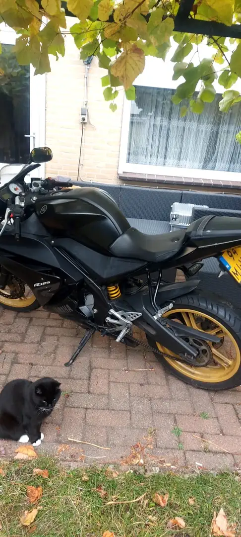 Yamaha YZF-R125 - 2
