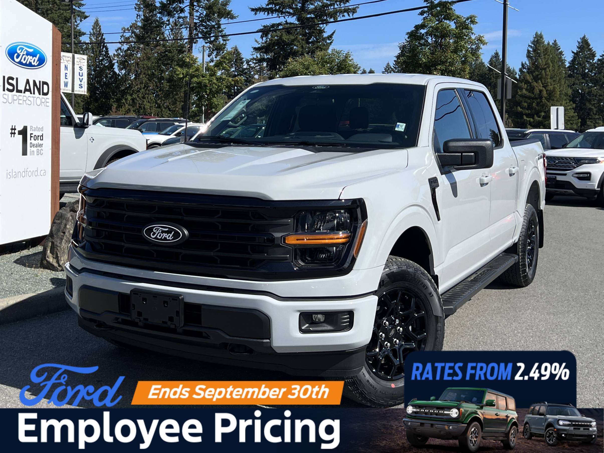 Gray 2026 Ford F-150 Pickup Truck Four-Wheel Drive Automatic