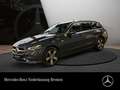 Mercedes-Benz C 300 de T AVANTG+PANO+AHK+LED+KAMERA+KEYLESS+9G Blau - thumbnail 1