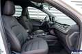 Ford Kuga Kuga ST-Line 2.5 PHEV 225cv Aut CVT - - thumbnail 15