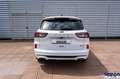 Ford Kuga Kuga ST-Line 2.5 PHEV 225cv Aut CVT - - thumbnail 7