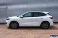 Ford Kuga Kuga ST-Line 2.5 PHEV 225cv Aut CVT - - thumbnail 4