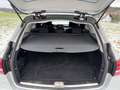 Mercedes-Benz C 250 C T-Modell C 250 T BlueTec / d Automatik Argent - thumbnail 20