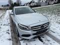 Mercedes-Benz C 250 C T-Modell C 250 T BlueTec / d Automatik Argent - thumbnail 12
