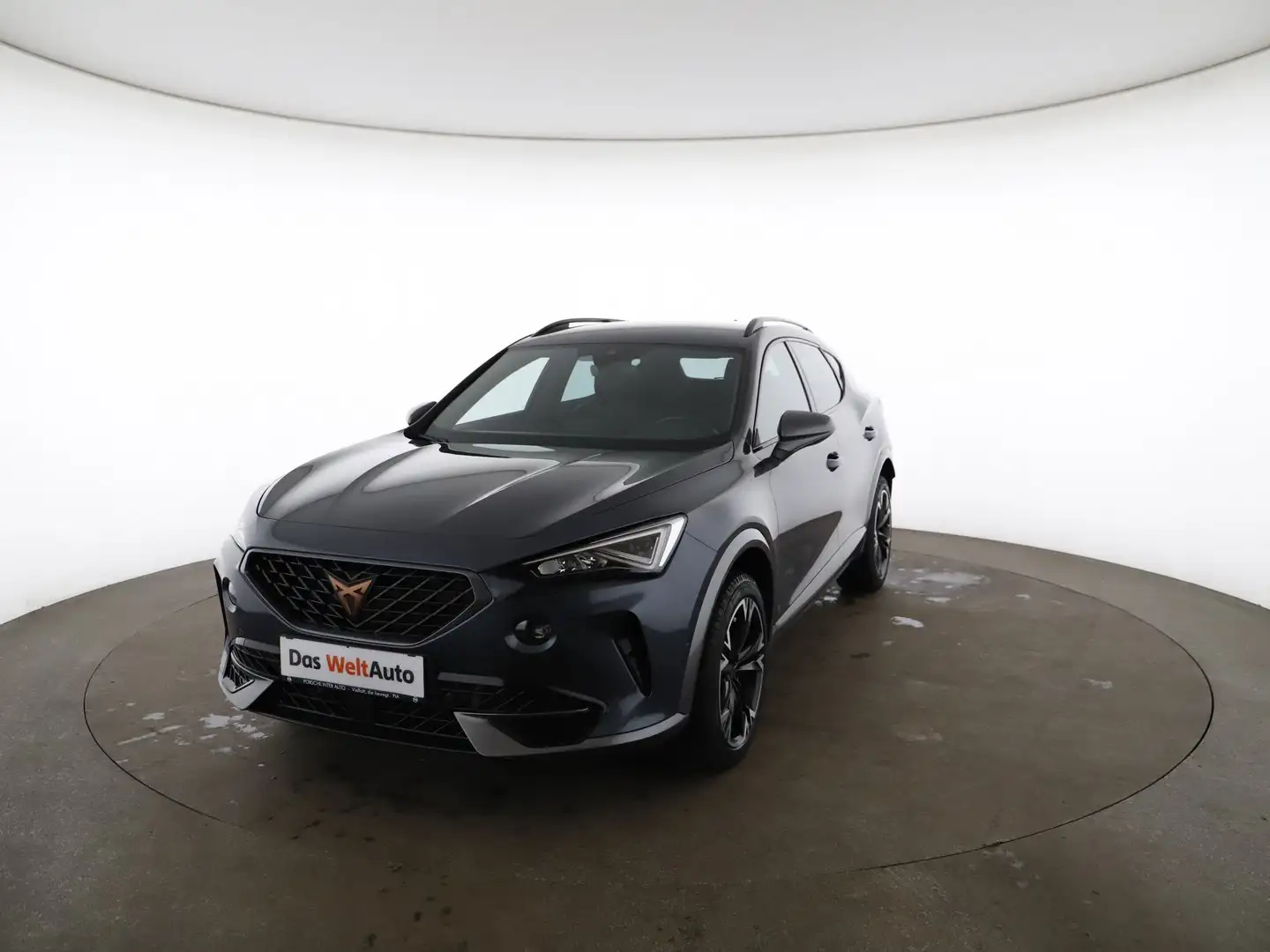 CUPRA Formentor 2,0 TDI 4Drive Cupra DSG Grau - 1