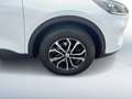 Ford Kuga 2,0 EcoBlue AWD Cool & Connect Aut. Weiß - thumbnail 6