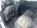 Ford Kuga 2,0 EcoBlue AWD Cool & Connect Aut. Weiß - thumbnail 11