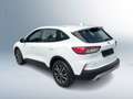 Ford Kuga 2,0 EcoBlue AWD Cool & Connect Aut. Weiß - thumbnail 3