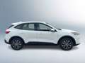 Ford Kuga 2,0 EcoBlue AWD Cool & Connect Aut. Weiß - thumbnail 5