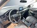 Ford Kuga 2,0 EcoBlue AWD Cool & Connect Aut. Weiß - thumbnail 8