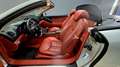 Mercedes-Benz SL 500 V8-ASI Argento - thumbnail 8